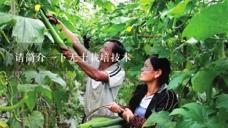 请简介1下无土栽培技术