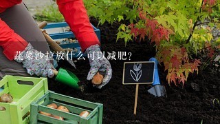 蔬菜沙拉放什么可以减肥？