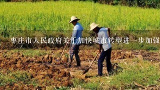 枣庄市人民政府关于加快城市转型进1步加强财源建设的意见