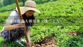 热镀锌管做大棚要多少钱1平方