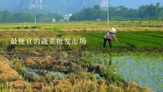 最便宜的蔬菜批发市场