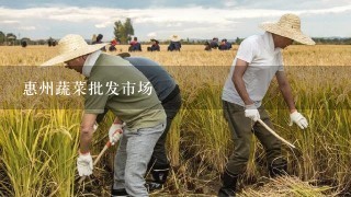 惠州蔬菜批发市场