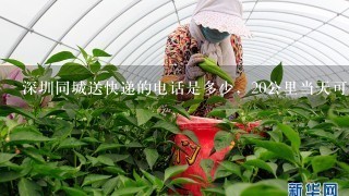 深圳同城送快递的电话是多少，20公里当天可以送到的有吗？