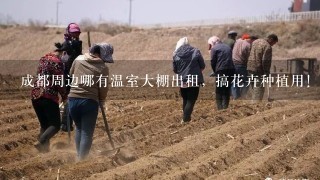 成都周边哪有温室大棚出租，搞花卉种植用！！