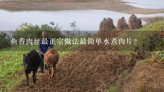 鱼香肉丝最正宗做法最简单水煮肉片？