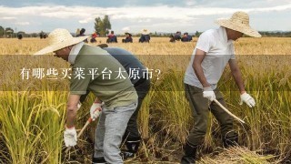 有哪些买菜平台太原市？