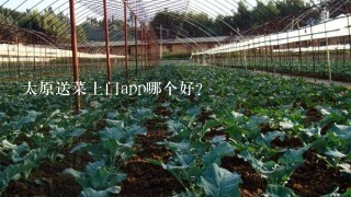 太原送菜上门app哪个好？