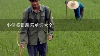 小学英语蔬菜单词大全