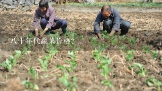 8十年代蔬菜价格？