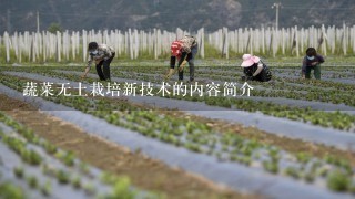 蔬菜无土栽培新技术的内容简介