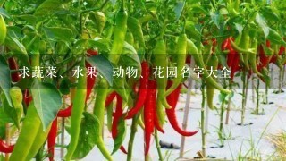 求蔬菜、水果、动物、花园名字大全