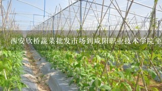 西安欣桥蔬菜批发市场到咸阳职业技术学院坐公交车怎走