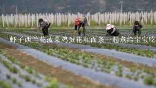 虾子西兰花菠菜鸡蛋花和面条1起煮给宝宝吃有营养吗