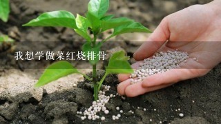 我想学做菜红烧排骨