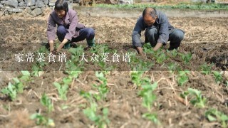 家常菜食谱、大众菜食谱