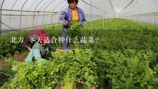 北方 冬天适合种什么蔬菜？