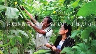 春天3种野菜要常食，养肝护肝，肝好人年轻，女性不