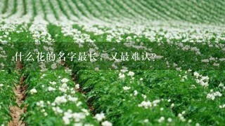 什么花的名字最长，又最难认？