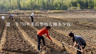 建1个750平米的塑料大棚多少钱？