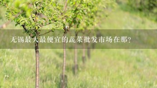 无锡最大最便宜的蔬菜批发市场在那？