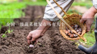 全国1级蔬菜批发市场有几个