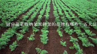 厨房蔬菜收纳架置物架的品牌有哪些？5大品牌对比