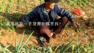 蔬菜批发1手货源在哪里找?