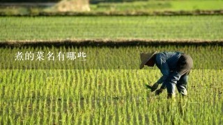 煮的菜名有哪些