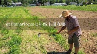 grammarfocus7年级上册在哪