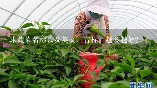 求蔬菜名称以及英文、音标，越多越好？