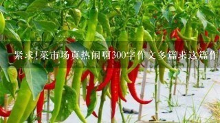 紧求!菜市场真热闹啊300字作文多篇求这篇作文