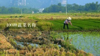 100种蔬菜名称