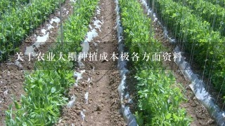 关于农业大棚种植成本极各方面资料