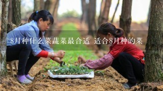 8月种什么菜蔬菜最合适 适合8月种的菜