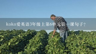 koko爱英语3年级上第6单元第1课句子？