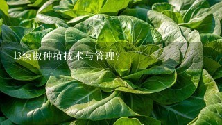 l3辣椒种植技术与管理？