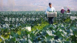 蔬菜的英语单词100个