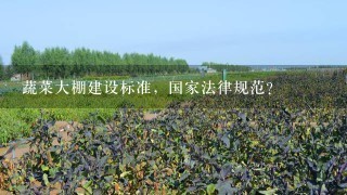 蔬菜大棚建设标准，国家法律规范？