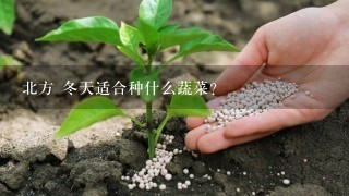 北方 冬天适合种什么蔬菜？