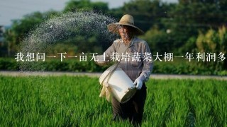 我想问1下1亩无土栽培蔬菜大棚1年利润多少