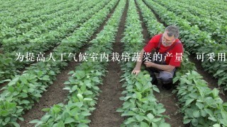 为提高人工气候室内栽培蔬菜的产量，可采用下列哪些措施