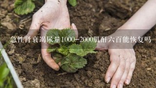 急性肾衰竭尿量1000-2000肌酐6百能恢复吗