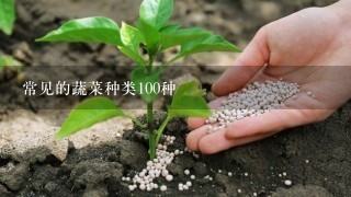 常见的蔬菜种类100种