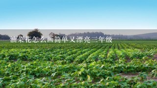 油菜花怎么画简单又漂亮3年级