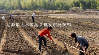 辽源最大水果蔬菜批发市场在哪