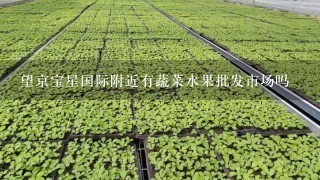 望京宝星国际附近有蔬菜水果批发市场吗