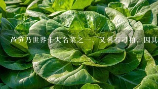 芦笋乃世界十大名菜之1，又名石刁柏．因其含多种氨基酸、蛋白质和维生素，在国际市场上享有“蔬菜之王”