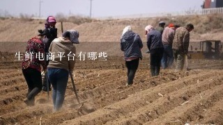 生鲜电商平台有哪些