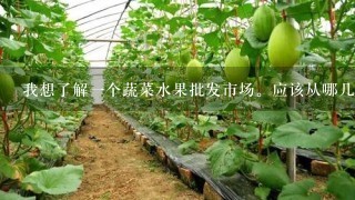 我想了解1个蔬菜水果批发市场。应该从哪几个方面入手？简单描述下情况。我想从蔬菜产地，上菜，然后发到？