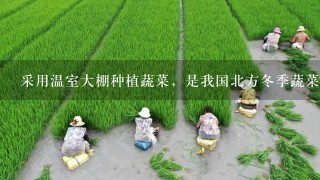 采用温室大棚种植蔬菜，是我国北方冬季蔬菜主要生产方式下列属于利用光合作用的原理提高农作物产量的措施是（ ）